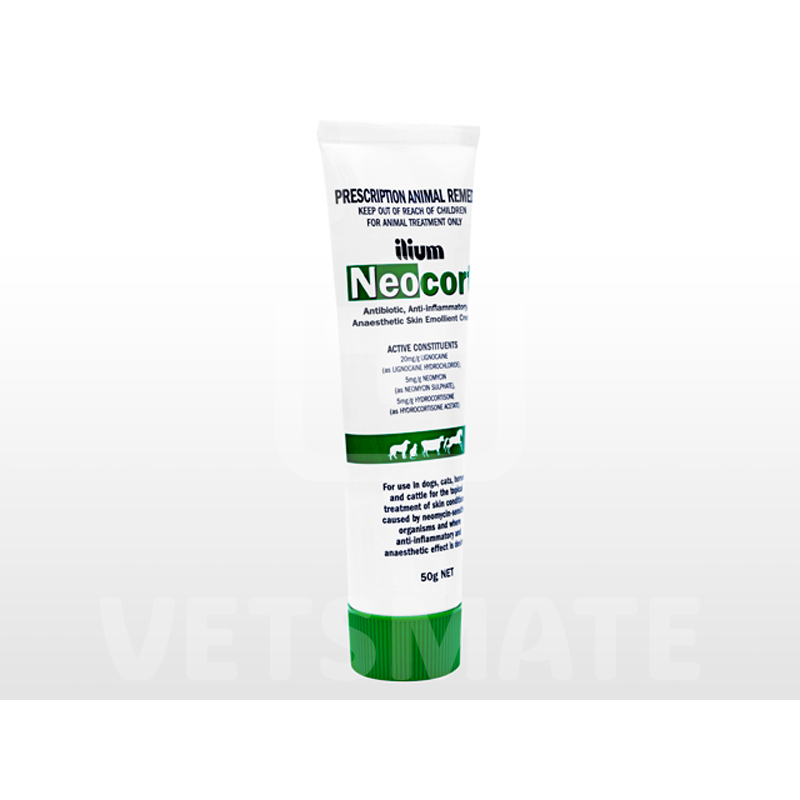 Neocort ネオコートクリーム 50g/本 | VETSMATE